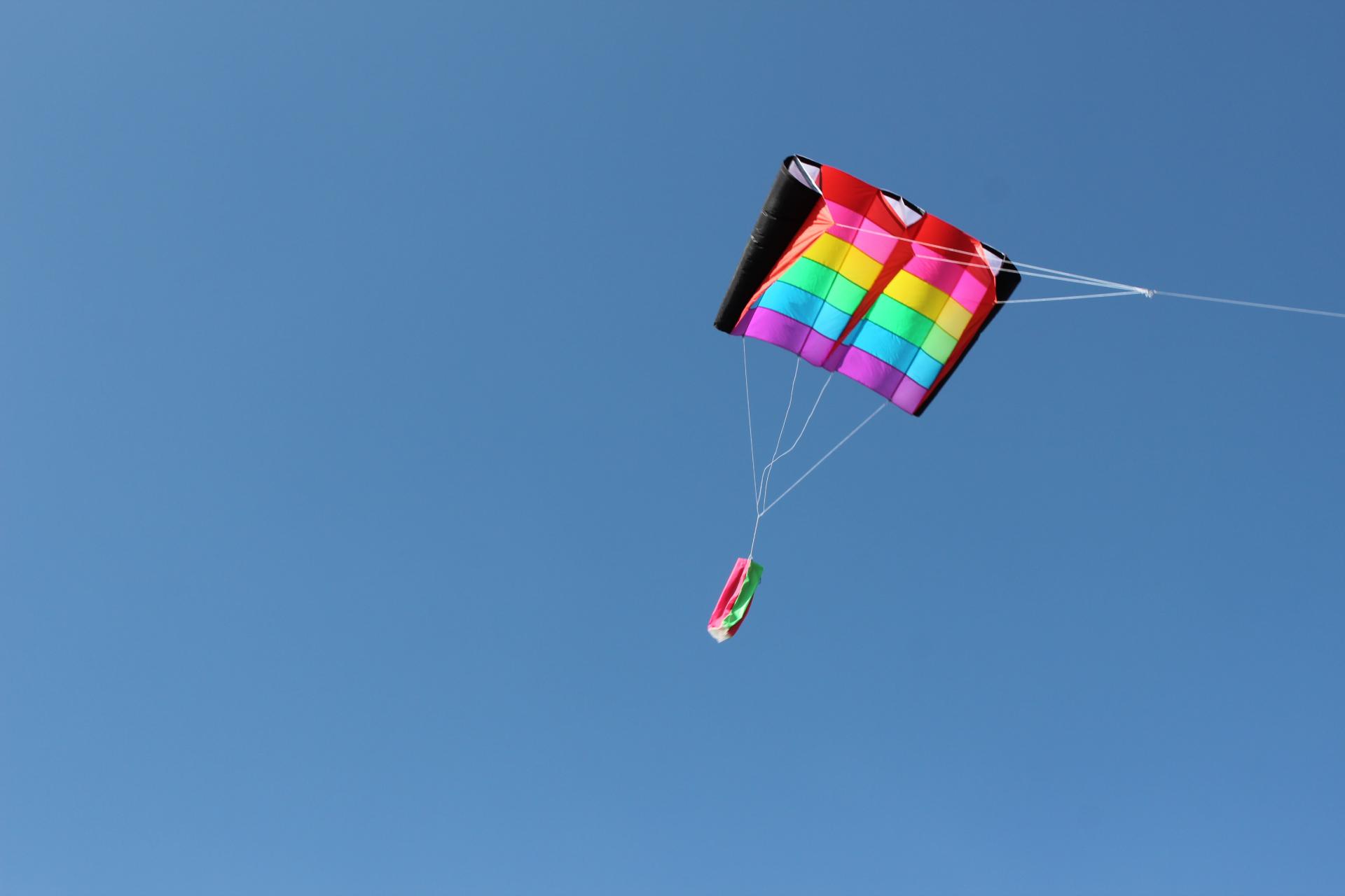 .:::Thế Giới Diều:::.Diều Độc - Đẹp - Lạ