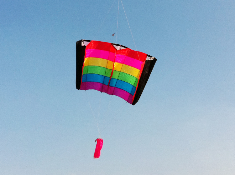 .:::Thế Giới Diều:::.Diều Độc - Đẹp - Lạ