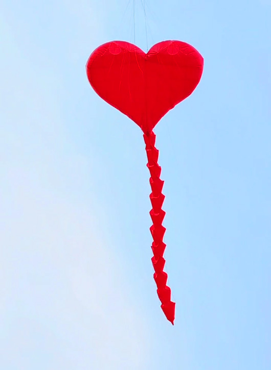 .:::Thế Giới Diều:::.Diều Độc - Đẹp - Lạ