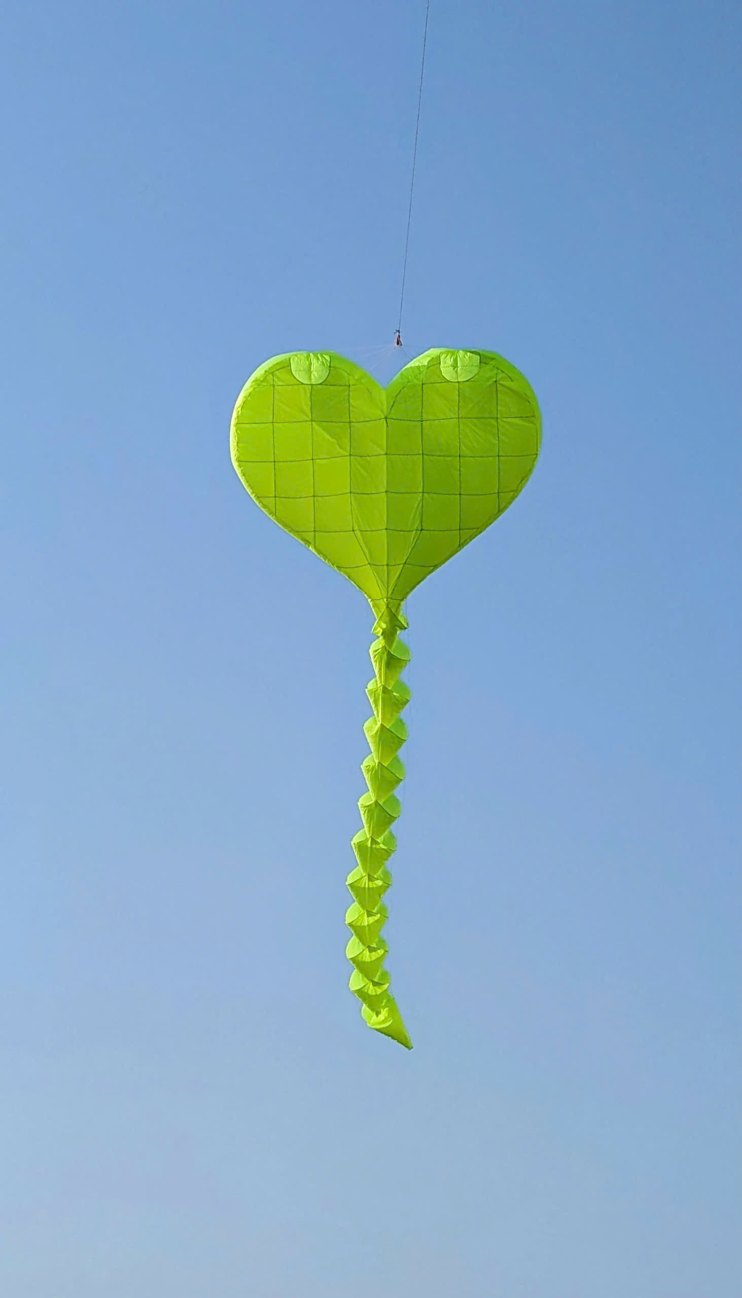 .:::Thế Giới Diều:::.Diều Độc - Đẹp - Lạ