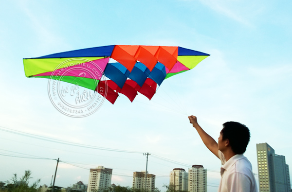 .:::Thế Giới Diều:::.Diều Độc - Đẹp - Lạ
