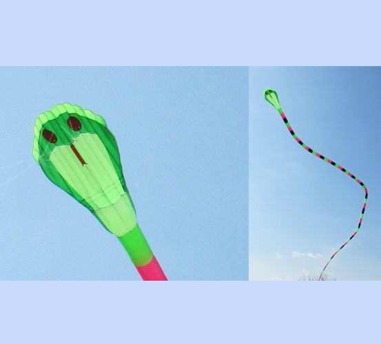 .:::Thế Giới Diều:::.Diều Độc - Đẹp - Lạ