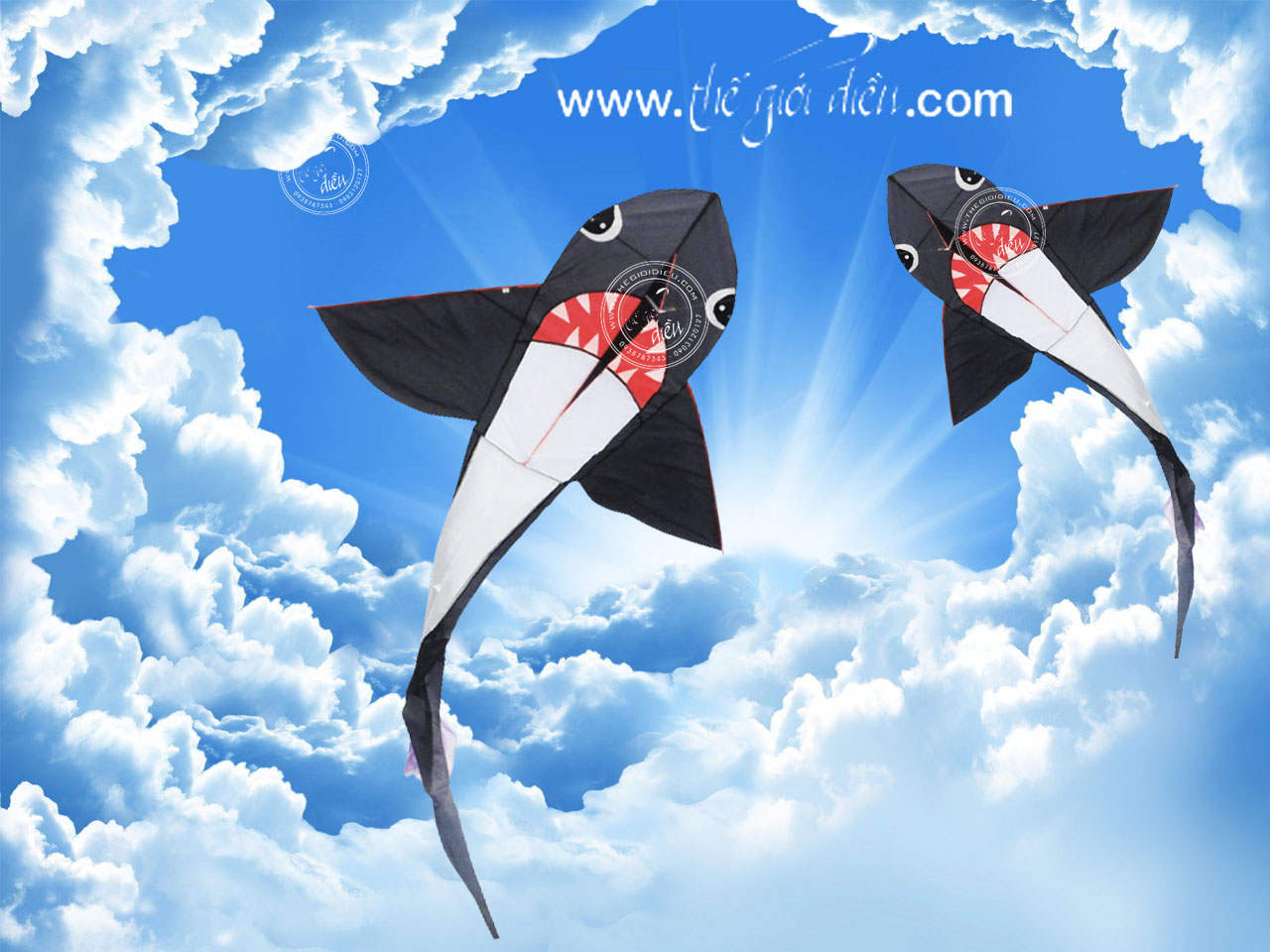 .:::Thế Giới Diều:::.Diều Độc - Đẹp - Lạ